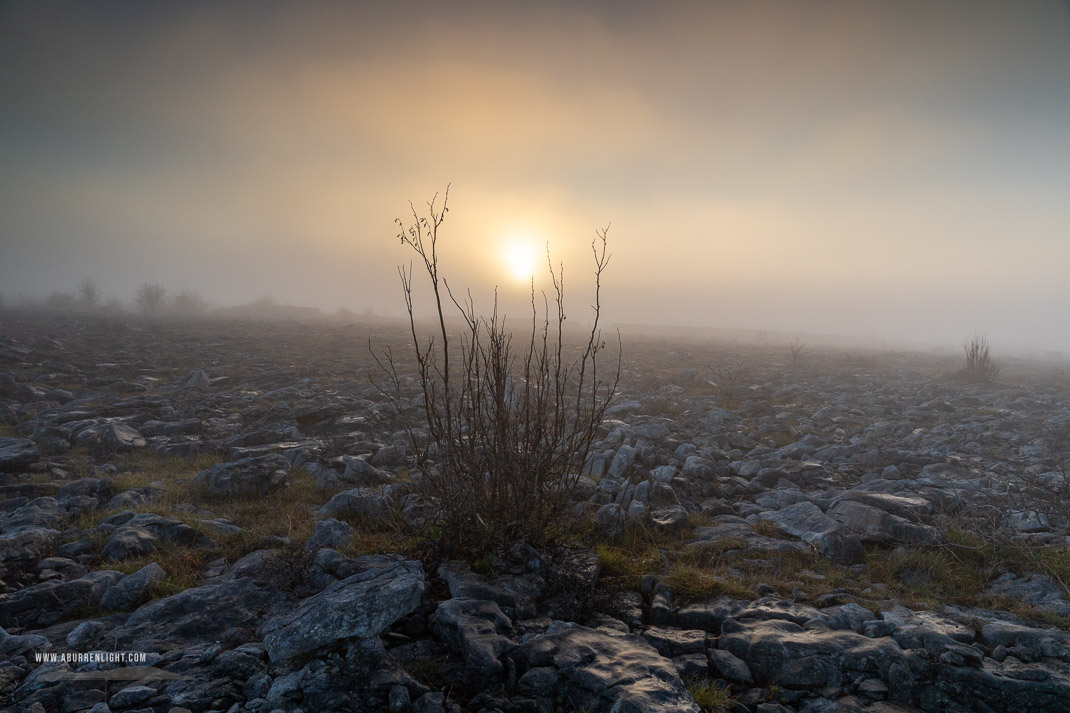 The Burren Clare Ireland - january,lowlands,mist,shrub,sunset,winter,lowland