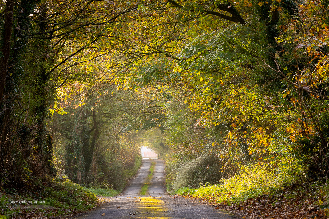 Boston Clare Ireland - autumn,rockvale,boston,golden,october,lowland,portfolio