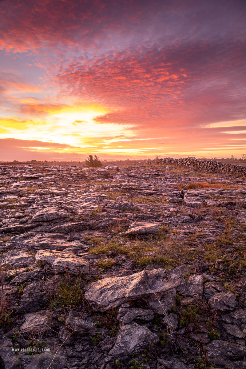 The Burren Clare Ireland - autumn,december,lowland,pink,twilight