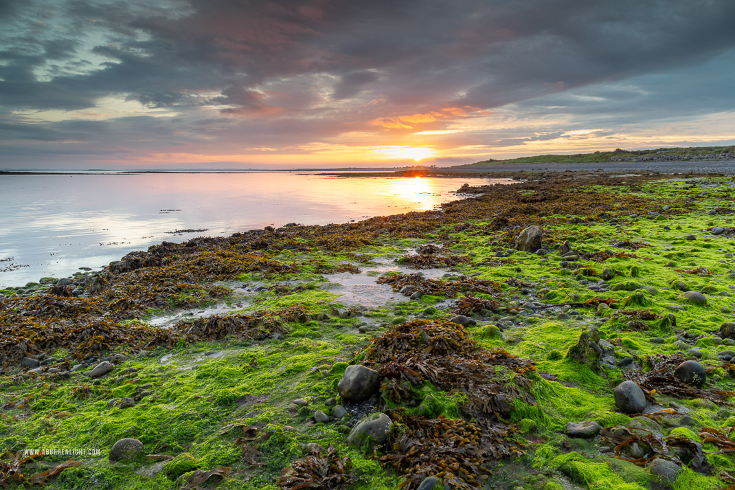 The Doorus peninsula Kinvara Clare Ireland - algae,doorus,september,summer,sunrise,coast,green