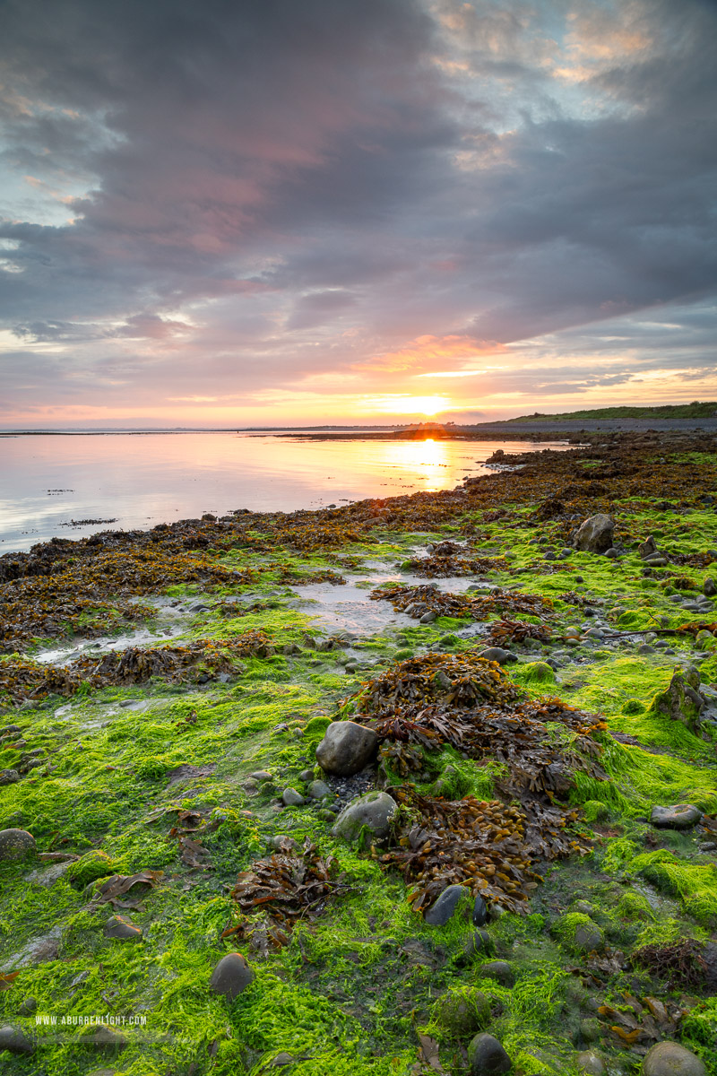 The Doorus peninsula Kinvara Clare Ireland - algae,doorus,september,summer,sunrise,coast,green