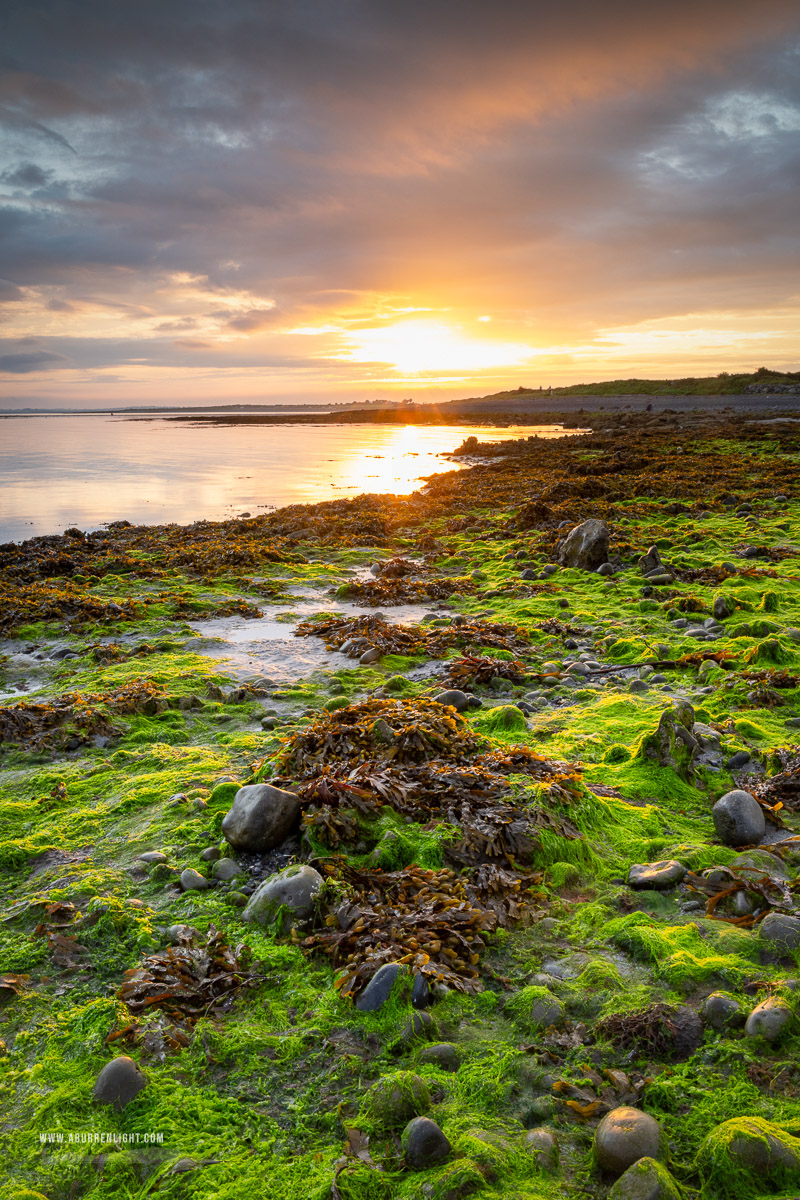 The Doorus peninsula Kinvara Clare Ireland - algae,doorus,september,summer,sunrise,coast,green,golden