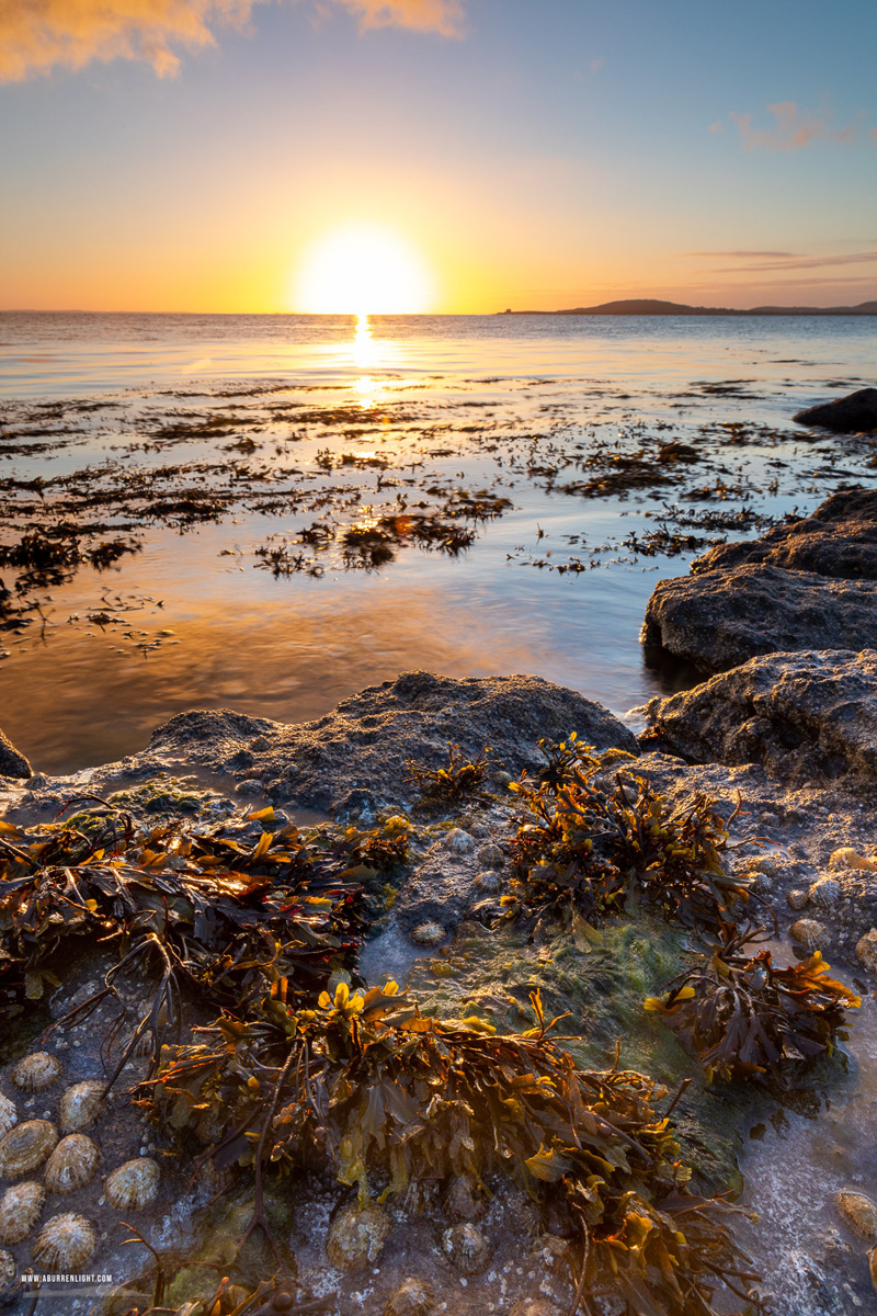 The Rine Peninsula Ballyvaughan Wild Atlantic Way Clare Ireland - ballyvaughan,golden hour,june,rine,spring,sunrise,coast