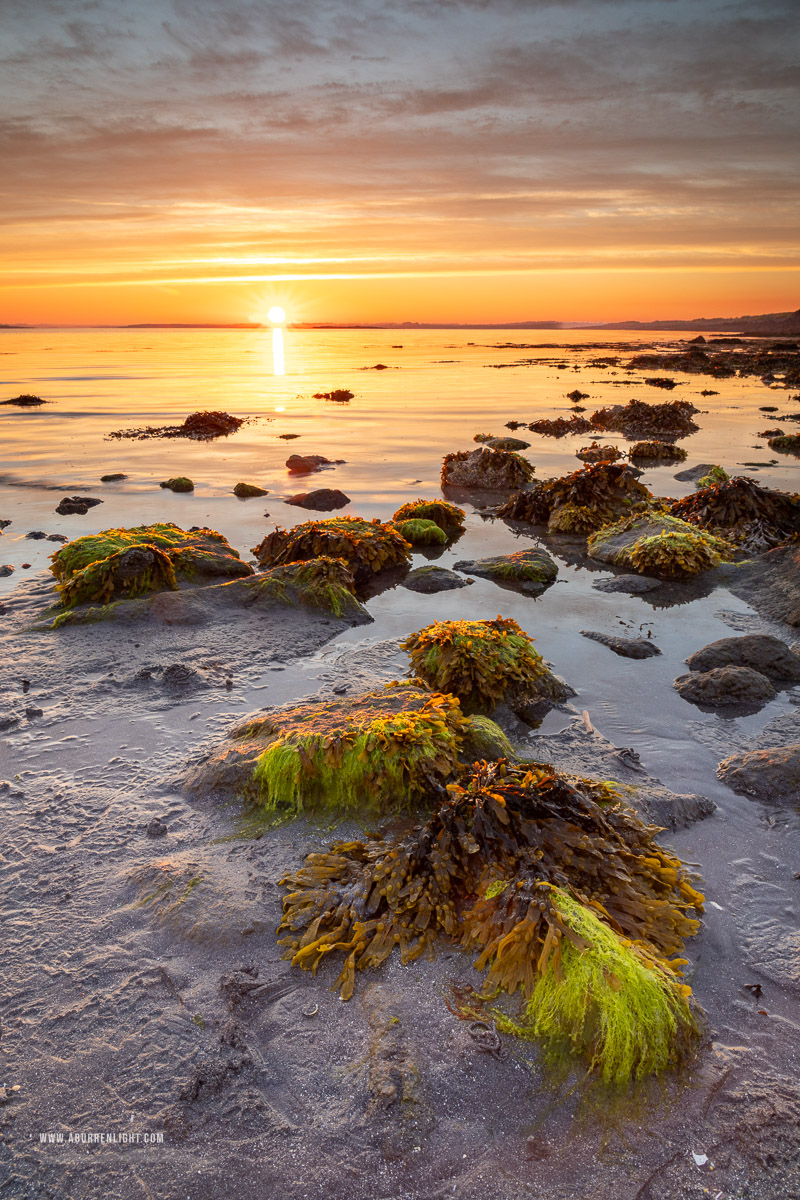 Traught Beach Kinvara Wild Atlantic Way Clare Ireland - golden hour,kinvara,may,spring,sunrise,traught,coast,golden