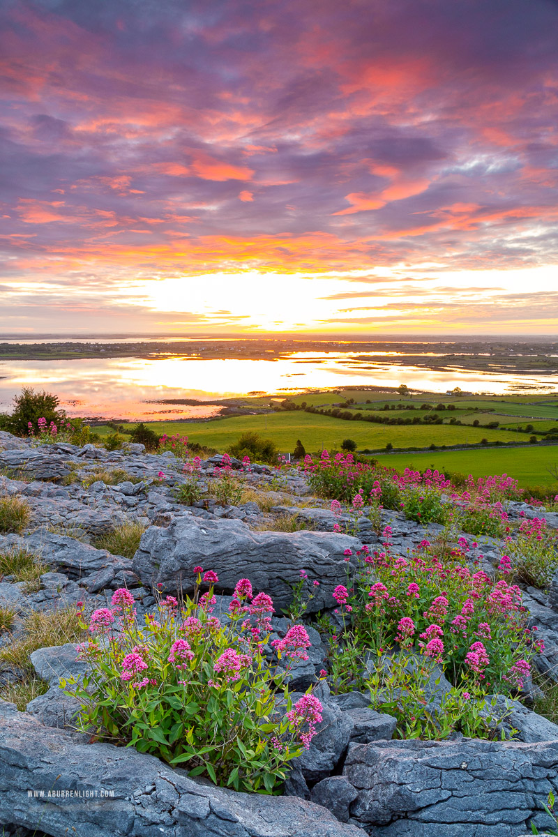 Abbey Hill Burren Clare Ireland - abbey hill,flowers,june,orange,red,spring,twilight,valerian,hills,portfolio