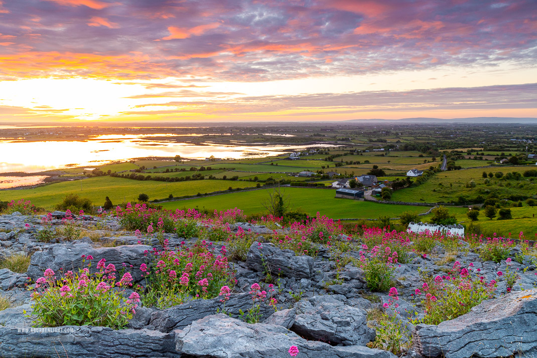 Abbey Hill Burren Clare Ireland - abbey hill,flowers,june,orange,red,spring,twilight,valerian,hills