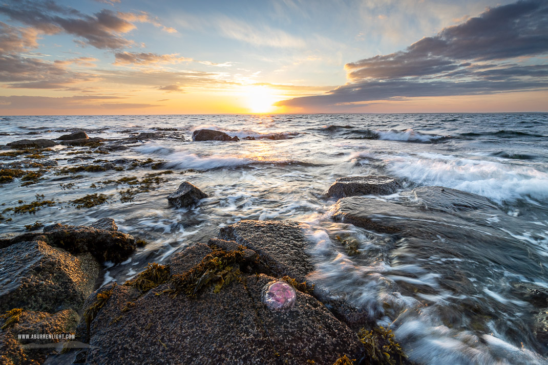 Traught Beach Kinvara Wild Atlantic Way Clare Ireland - coast,golden,jellyfish,june,spring,sunset,traught