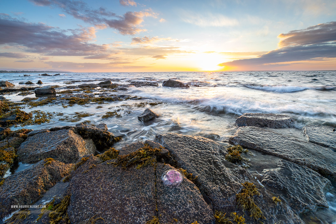 Traught Beach Kinvara Wild Atlantic Way Clare Ireland - coast,golden,jellyfish,june,spring,sunset,traught