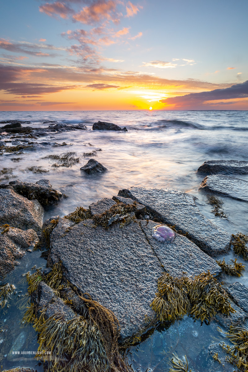 Traught Beach Kinvara Wild Atlantic Way Clare Ireland - coast,golden,jellyfish,june,spring,sunset,traught