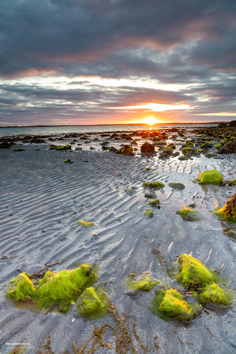 Traught Beach Kinvara Wild Atlantic Way Clare Ireland - algae,may,spring,sunrise,sunstar,traught,beach,coast