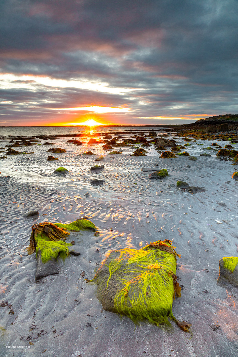 Traught Beach Kinvara Wild Atlantic Way Clare Ireland - algae,may,spring,sunrise,sunstar,traught,beach,coast