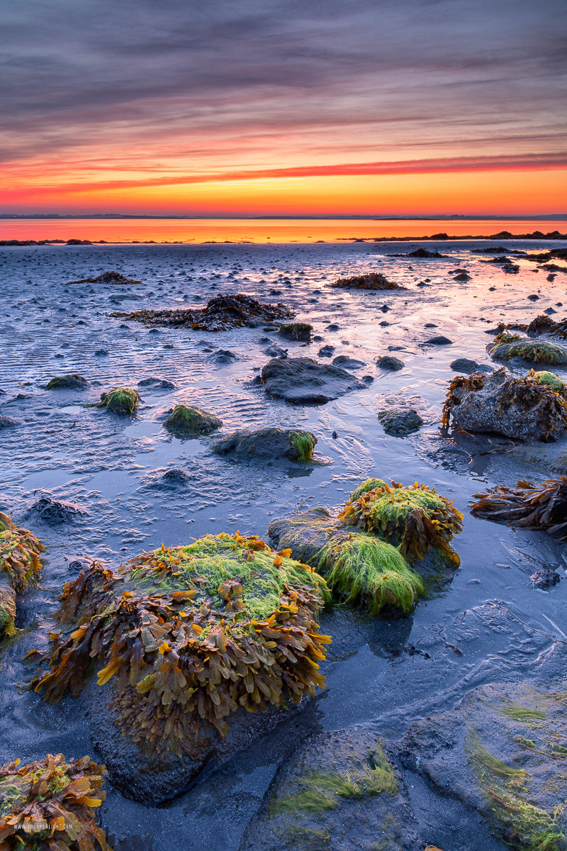 Traught Beach Kinvara Wild Atlantic Way Clare Ireland - kinvara,long exposure,may,red,sand ripples,spring,traught,twilight,coast,orange