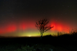 astro,aurora,january,lone tree,lowland,night,winter