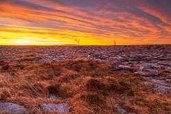 february,lone tree,long exposure,orange,twilight,winter,lowland