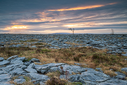 february,lone tree,lowlands,sunrise,winter,lowland