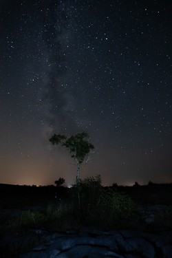 astro,august,lone tree,long exposure,milky way,night,park,summer