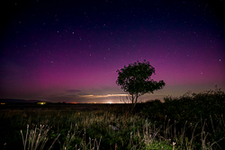 astro,aurora,lone tree,lowland,september,summer,night