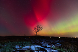 astro,aurora,autumn,lone tree,lowland,night,october,pilars,portfolio