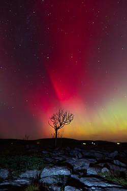 astro,aurora,autumn,lone tree,lowland,night,october,pilars