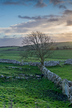 january,lone tree,sunrise,winter,hills,walls