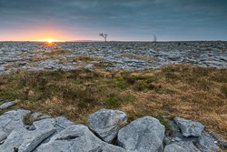 january,lone tree,sunrise,sunstar,winter,lowland