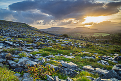 fahee,golden,hills,pick-hills,portfolio, september,summer,sunrise,walls