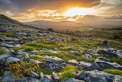 fahee,golden,hills,pick-hills,portfolio,september,summer,sunrise,walls