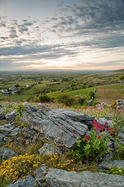 abbey hill,flowers,hills,kivara,may,spring,sunrise,valerian