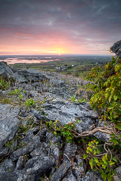 abbey hill,april,ivy,red,spring,twilight,hills