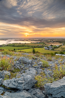 abbey hill,august,golden,hills,long exposure,orange,summer,sunrise,valerian