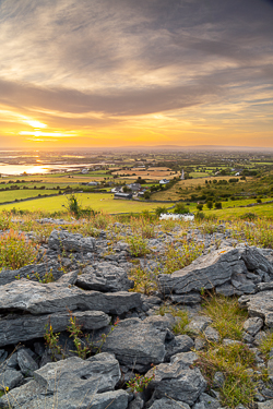 abbey hill,august,golden,hills,long exposure,orange,summer,sunrise,valerian