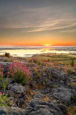 abbey hill,hills,may,spring,sunrise,valerian,flowers