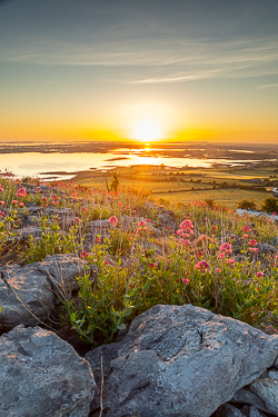 abbey hill,flowers,hills,may,spring,sunrise,valerian