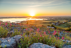 abbey hill,flowers,hills,may,spring,sunrise,valerian