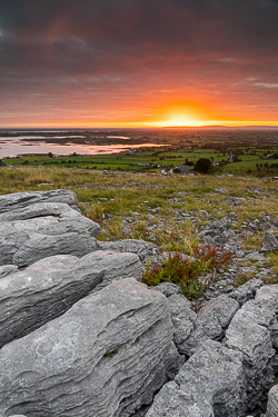 abbey hill,orange,september,summer,sunrise,hills