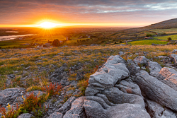 abbey hill,orange,september,summer,sunrise,sunstar