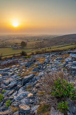 abbey hill,golden hour,march,mist,spring,sunrise,hills,orange