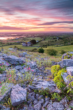 abbey hill,august,flower,summer,twilight,hills,valerian,wall,pink