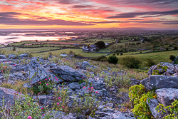 abbey hill,august,flower,summer,twilight,hills,valerian,pink,orange