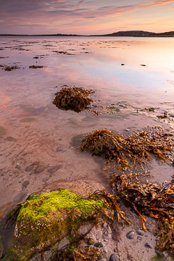 autumn,ballyvaughan,bishops quarter,green algae,long exposure,september,twilight