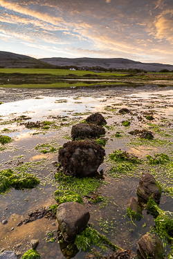 autumn,ballyvaughan,bishops quarter,green algae,september,sunrise,coast