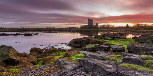 castle,dunguaire,green algae,kinvara,landmark,march,panorama,pink,twilight,winter,coast,castle