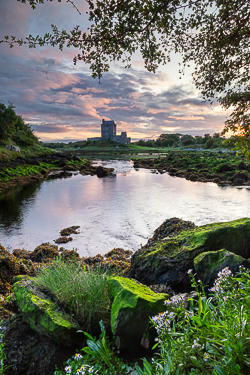 august,castle,dunguaire,flowers,kinvara,landmark,summer,sunrise,coast