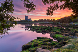 autumn,birch,castle,dunguaire,kinvara,long exposure,purple,september,twilight,limited,portfolio,coast