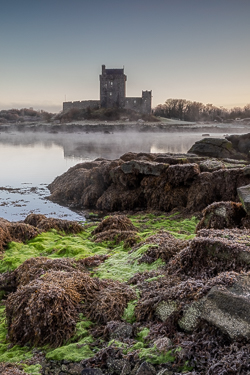 castle,dunguaire,frost,green algae,january,kinvara,mist,reflections,sunrise,winter,coast