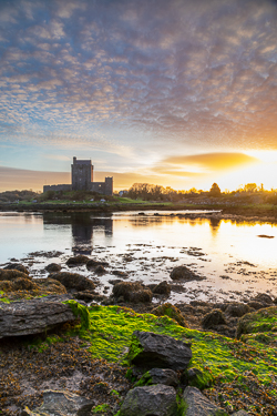 castle,dunguaire,green algae,kinvara,landmark,march,sunrise,winter,coast,golden