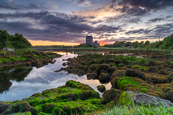 castle,coast,dunguaire,foliage,green algae,june,kinvara,landmark,summer,sunrise