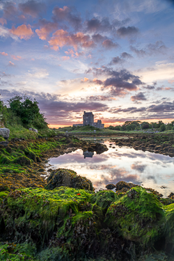 castle,coast,dunguaire,foliage,green algae,june,limited,kinvara,landmark,summer,sunrise