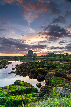 castle,coast,dunguaire,foliage,green algae,june,kinvara,landmark,summer,sunrise