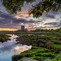 castle,coast,dunguaire,foliage,green algae,june,kinvara,landmark,square,summer,sunrise